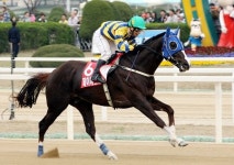 ‘토종명마’ 제이에스홀드 굿바이