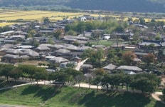 [뉴스플러스④]풍산명품한우, 소 사육 두수 전국 1위