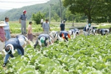 ‘농민의 천사’ KRA봉사단 또 왔네