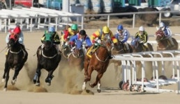 인심좋은 경마? 환급률73% 사행성 오락 중 최고