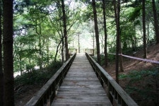 치유의 숲 개장… 무료 체험 가능