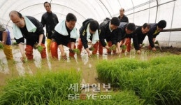 하우스서 첫 모내기