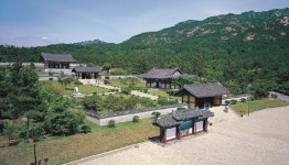 100리 벚꽃길… 원색의 봄