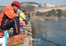 [단독] 부산 백운포 방파제 낚시 ‘위험천만’