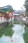 [선차를 마시며] <9>끊임없는 수행 정진, 송광사 회주 법흥 스님
