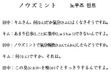 [니혼고문화체험] 노우즈 민트