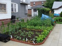 어디서나 텃밭 가꾸는 우리 민족