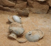 충주 하구암리 신라 고분군 발굴 본격 착수