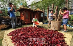 “영양고추 매워요”