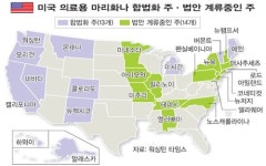 불황에 생계형 불법재배 늘어…산간 주민들 위험 감수하며 부업나서