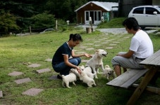 사슴벌레, 장수풍뎅이 기르며 시골살이 10년째