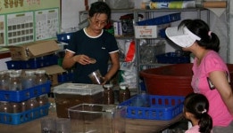 사슴벌레, 장수풍뎅이 기르며 시골살이 10년째