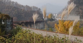 가을하늘 오색 단풍길… 강변여행 상쾌해요