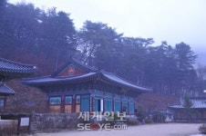 겨울 숲 맑은 기운 쐬면 마음까지 청정… 홍천 수타사 계곡 ‘산소길’