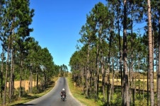 [정영의 길 위에서 만난 쉼표] 쿠바 비날레스