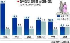 [퇴장하는 베이비붐 세대] 실버산업 황금시장으로 뜨나