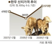 한우 한마리 573만원 사상 최고
