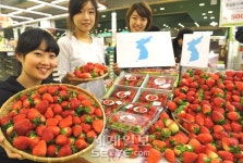 “통일딸기 맛보세요”