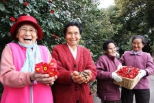 아모레퍼시픽, 제주 동백마을과 원료구매 협약