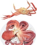 죽변항 위판장 꿈틀꿈틀 대게 천지 울진