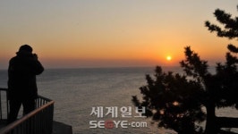 죽변항 위판장 꿈틀꿈틀 대게 천지 울진