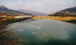 ‘꽃동네’ 광양… 섬진강바람 속 봄소식 설레다