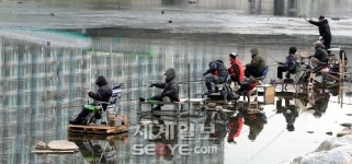봄을 낚는다… 중랑천변 강태공들