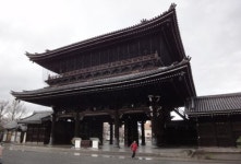 [심훈 한림대 교수의 일본을 보면 한국이 보인다] 나무이야기 Ⅱ