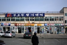 고성 봉포항활어회센터 ‘시끌’