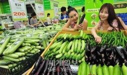 “신선한 여름철 채소 사가세요”