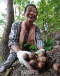 산·계곡·바다·송이·대게… ‘없는게 없는’ 경북 울진을 가다