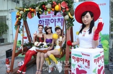 벌가네과일야채-청 | [포토] “부족한 야채와 과일 하루야채로 채우세요”