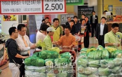 “중국산 배추도 없어서 못 팔아요”