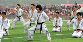 [박정진의 무맥] (40) 통일무도(統一武道)