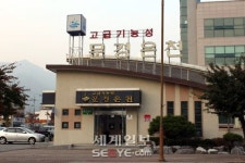 문경새재에서 만난 사연 깊은 나무들