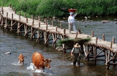 ‘횡성한우’ 전국 넘어 세계로