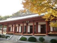 뿌리 찾기 여행