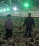 [최고 농업인을 찾아서] (1) 경북 상주 부성농장