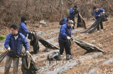[포토] 농협유통 송년회는 농촌일손돕기!