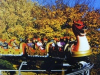 에버랜드 롤러코스터 변천사