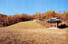 [김성회의 뿌리를 찾아서] <6> 김씨의 기원