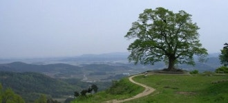 충남연가에서 착한여행하세요~