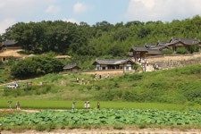 세계문화유산 등재 경주 양동마을에 방제시스템 구축