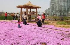새봄 ‘가족 나들이’ 여기가 딱이네~