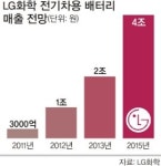 눈물겨운 ‘전지투쟁 10년’… 이젠 세계 시장으로