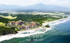 대명리조트 창립 32주년 ‘통합멤버십’ 신규 특별회원 모집