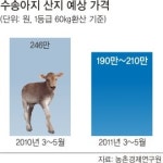 축산농가 끝나지 않은 구제역 고통