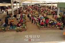 푸근한 인정 오가는 기차마을전통시장