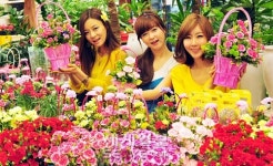 “어버이날 카네이션 꼭 드리세요”