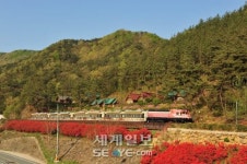 기적소리 들으며 섬진강변 따라 추억 여행